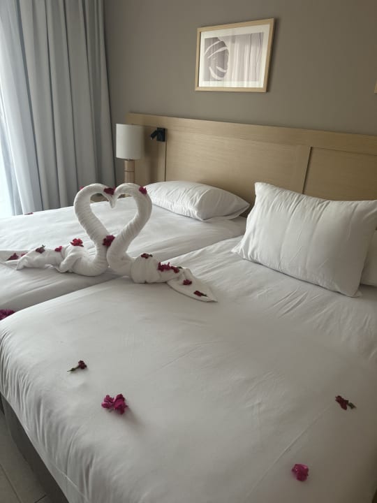 Zimmer JAZ Elite Amara