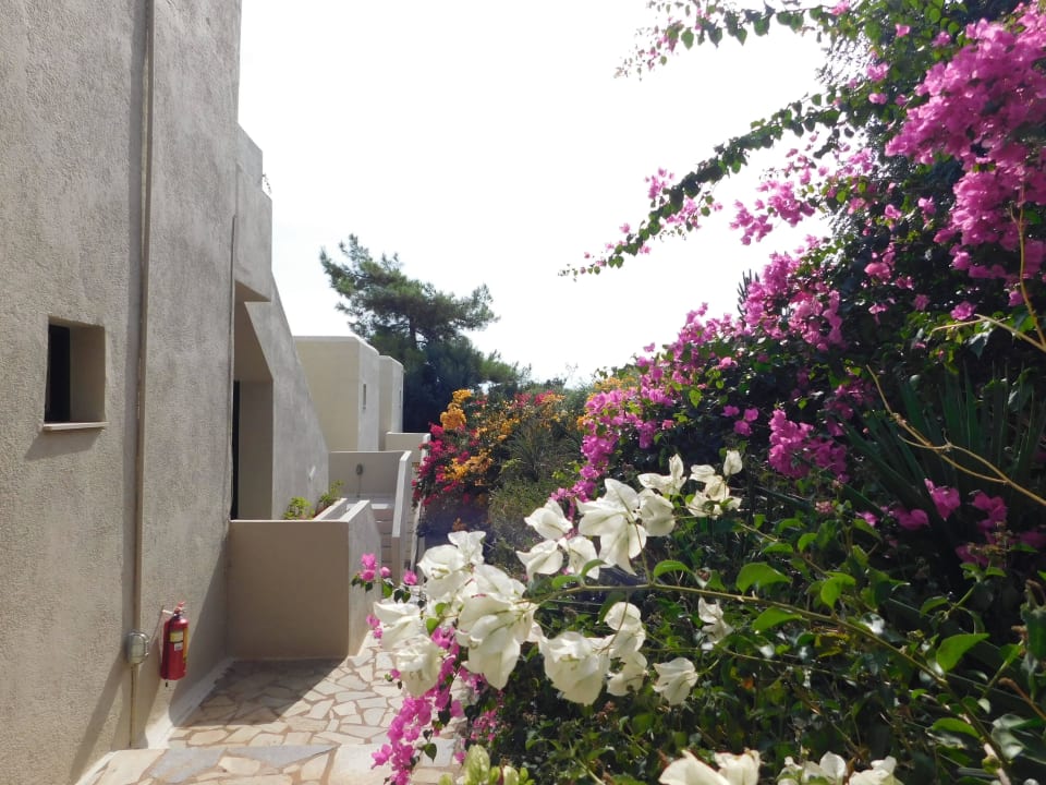 Hotel im Dorfstil am Hang Domes Aulus Elounda All-Inclusive Resort, Curio Collection by Hilton