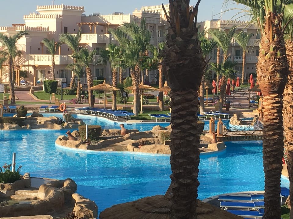 Pool Pickalbatros Palace Resort