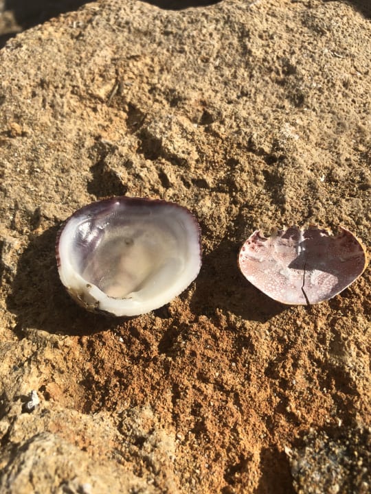 Strand Oz Hotels Incekum Beach