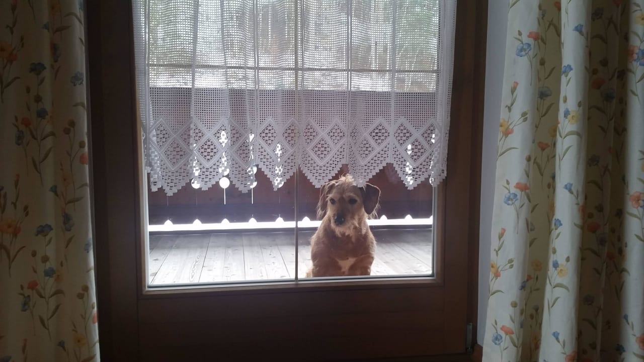 Blick vom Bett auf den Balkon mit unserem Hund Pension-Biobauernhof Hagenhof