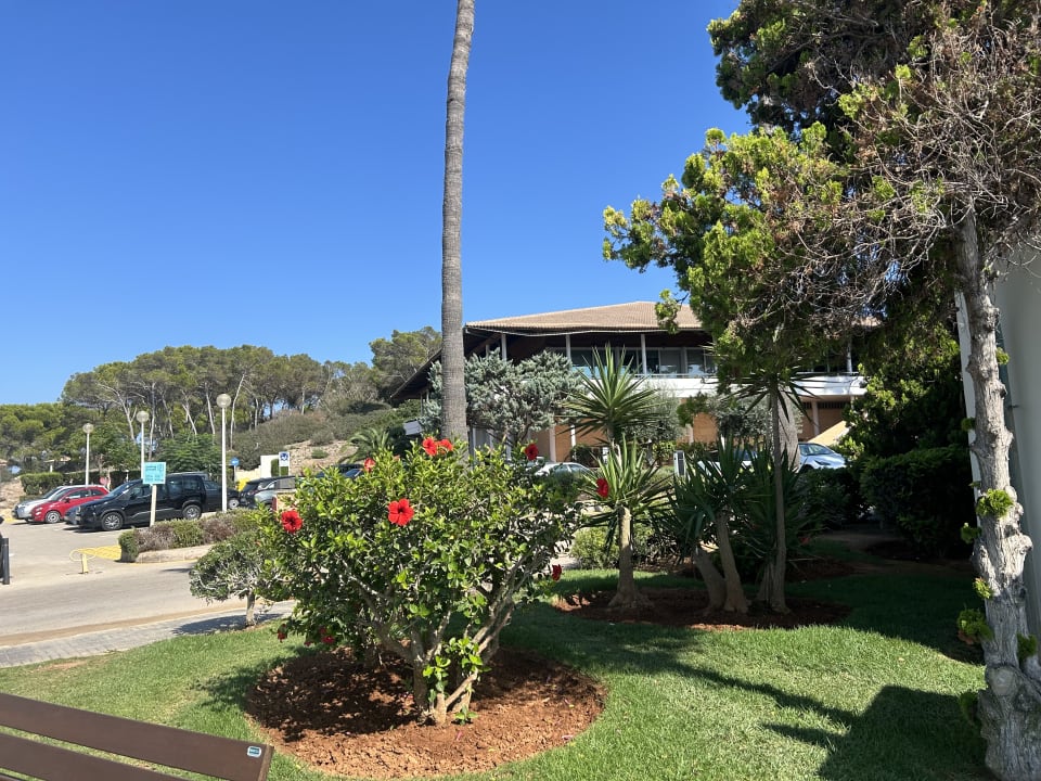 Außenansicht Blau Colònia Sant Jordi