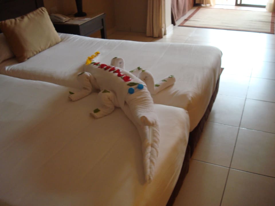 Haustiere  Jaz Dar EL Madina