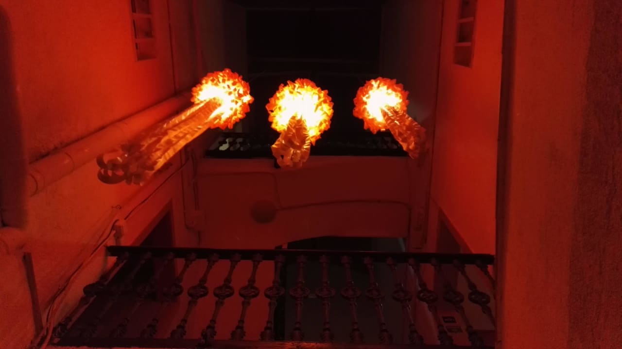 Stiegehaus Guesthouse ZOO LoCo