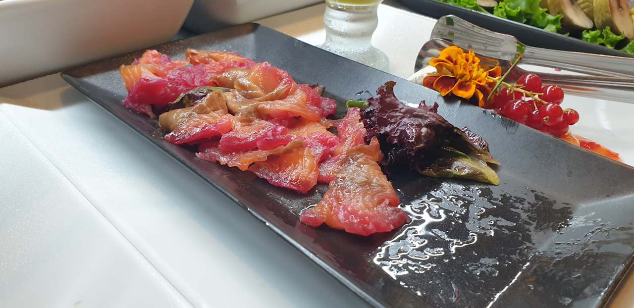 Gastro JAZ Elite Asteria