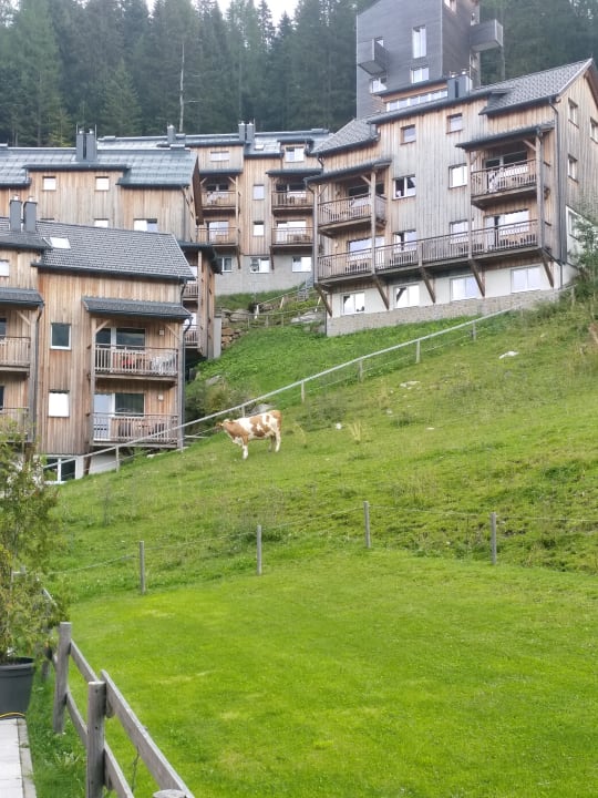 Außenansicht Almhotel Kärnten