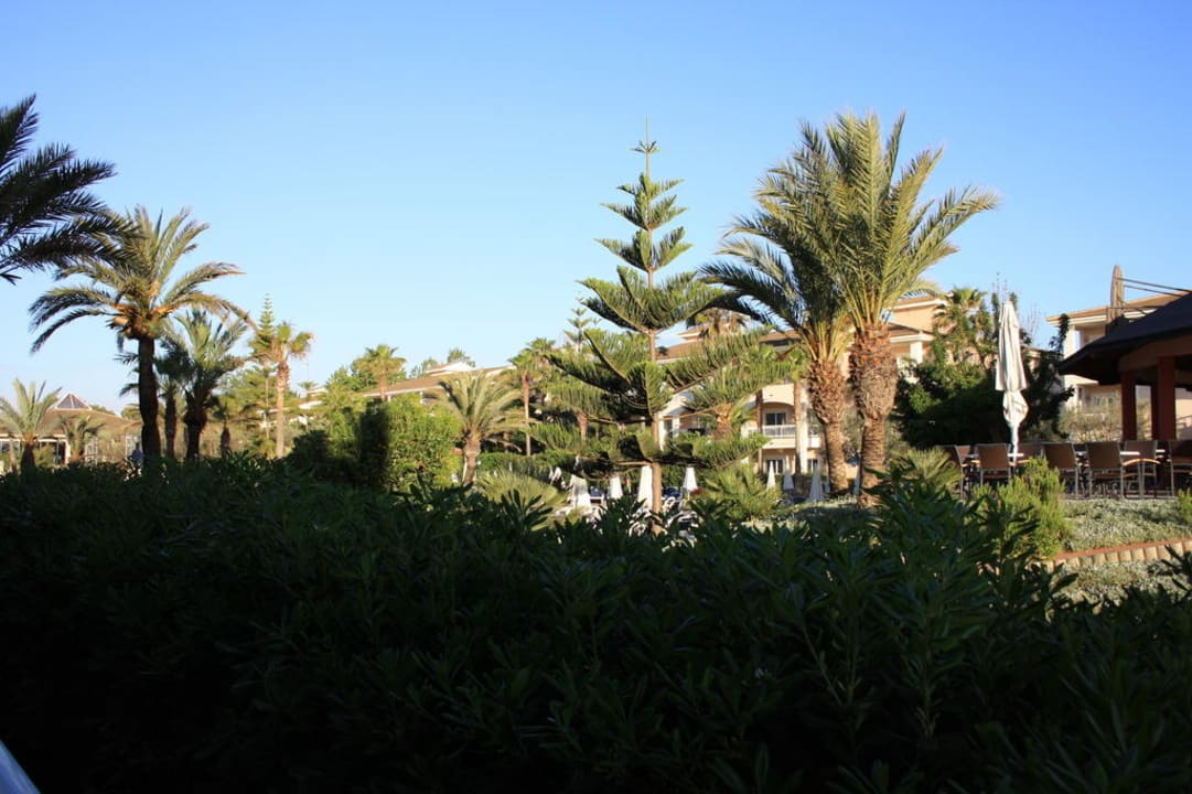 Bereich vor dem Zimmer Playa Garden Selection Hotel & Spa