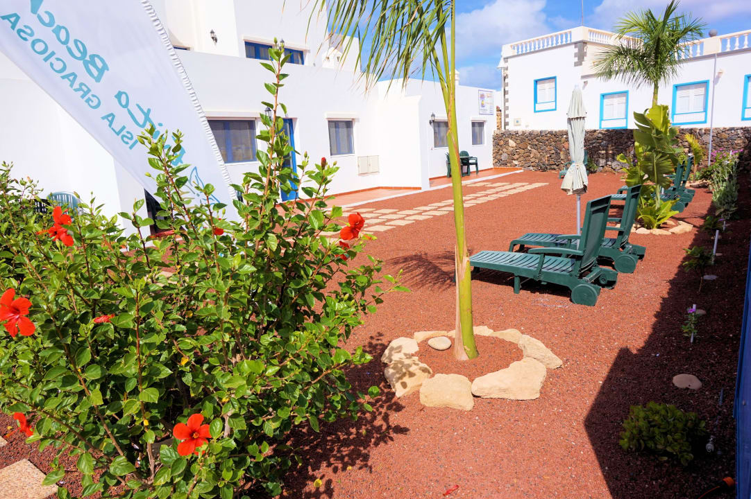 Jardín con hamacas / Garden Apartments Evita Beach