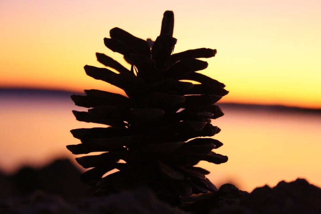 Sonnenuntergang Hotelstrand Sunny Krk by Valamar