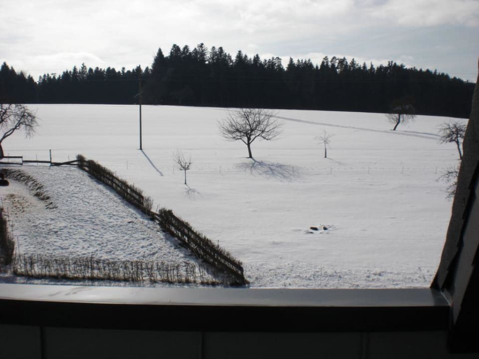 Ausblick über das Tal Landhotel Talblick