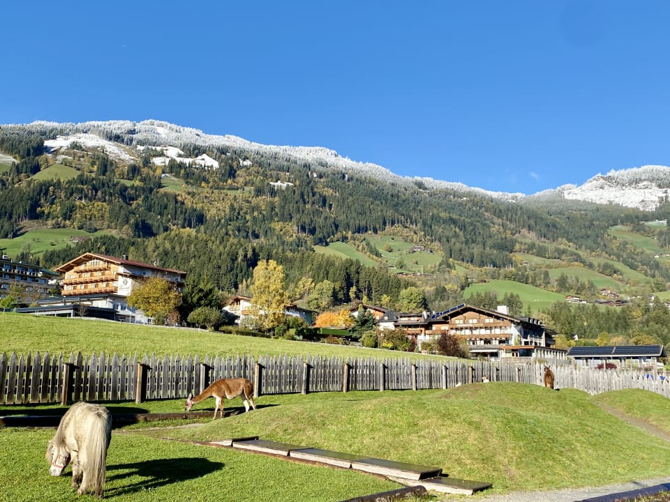 Ausblick Mia Alpina . Zillertal Family Retreat