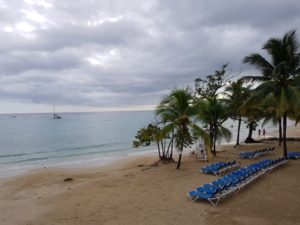 Strand immer sauber und aufgeräumt Hotel Riu Ocho Rios