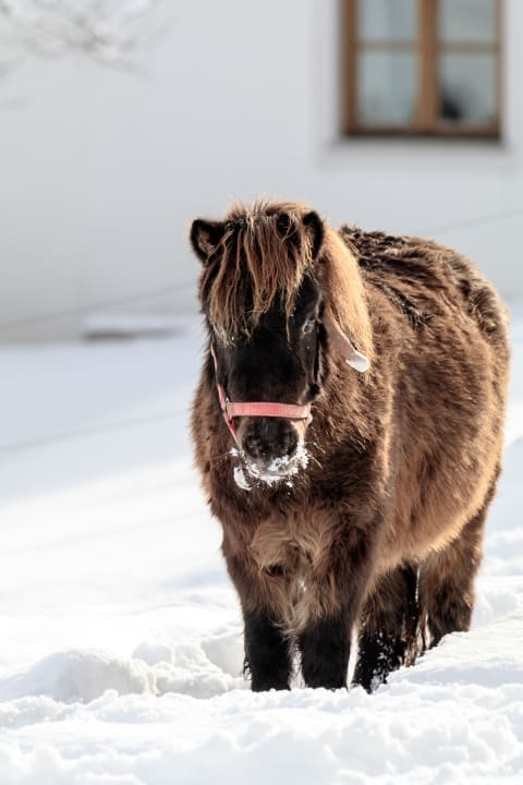 Sonstiges Bauernhof Christernhof