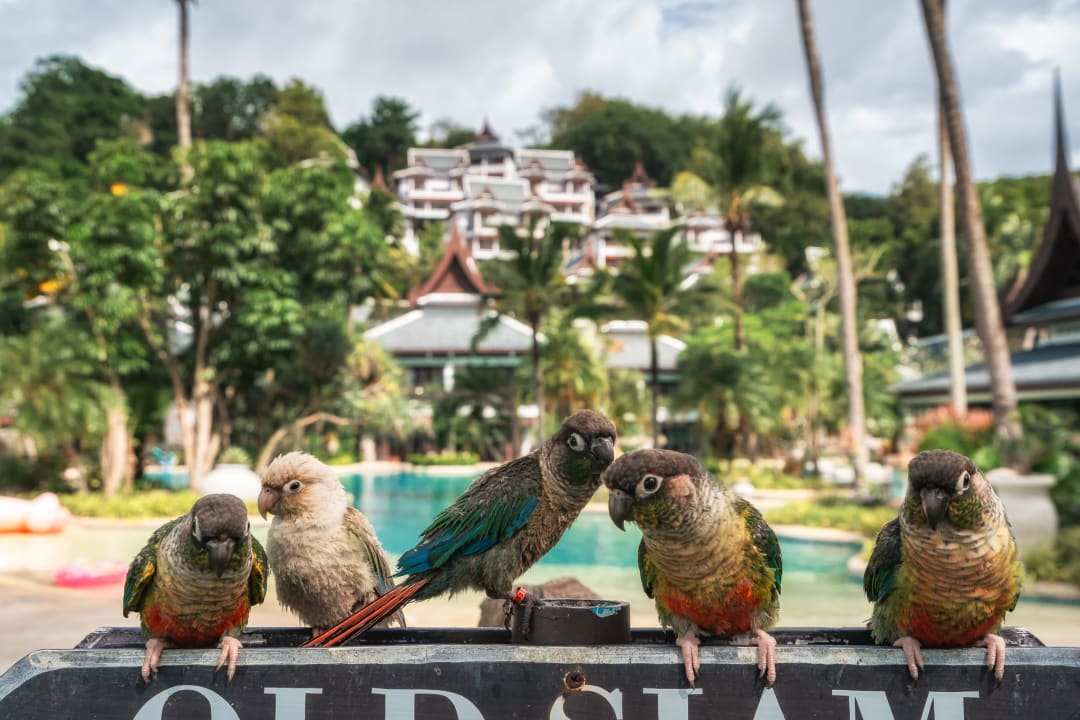 Sonstiges Thavorn Beach Village Resort & Spa