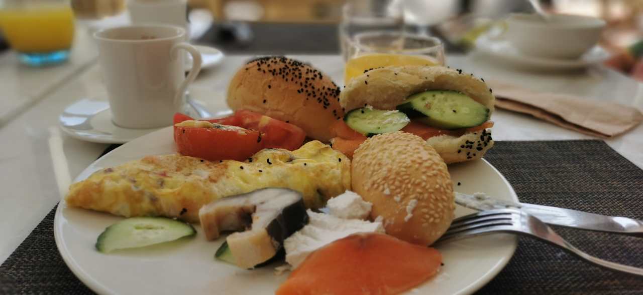 Gastro JAZ Elite Amara