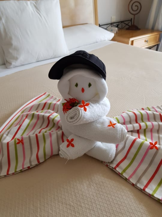 Zimmer Melia Las Dunas