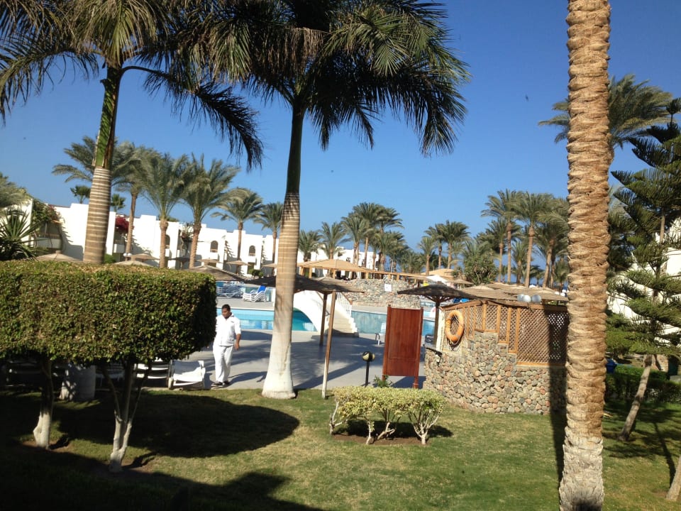 Hotel Pool und Garten Palm Beach Resort