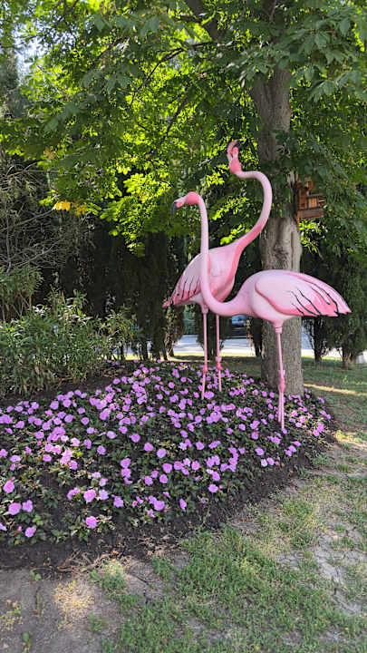 Gartenanlage Flamingo Grand Hotel & Spa
