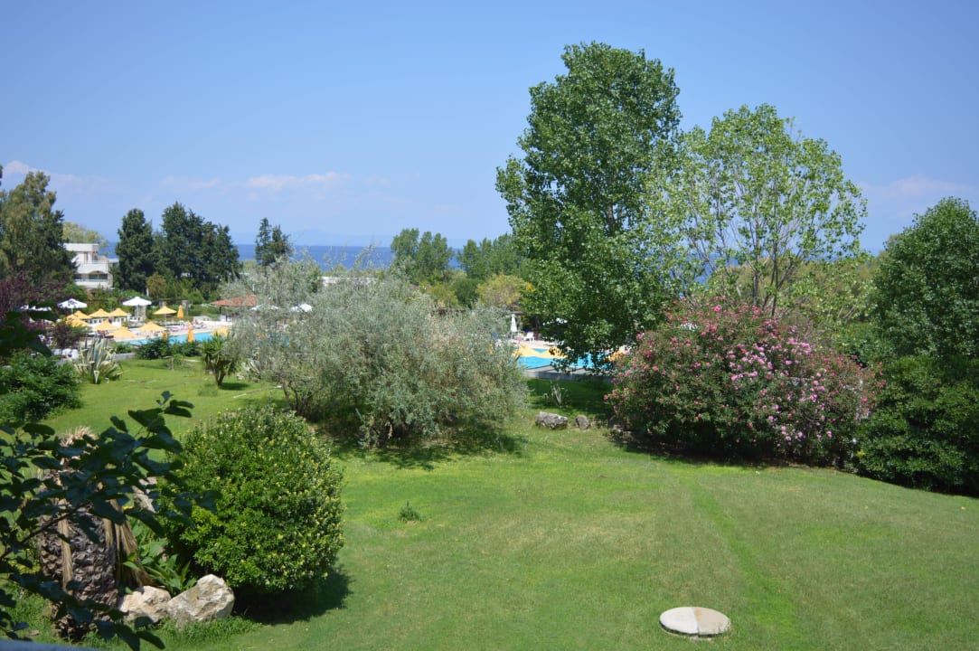 Ogród Hotel Athos Palace