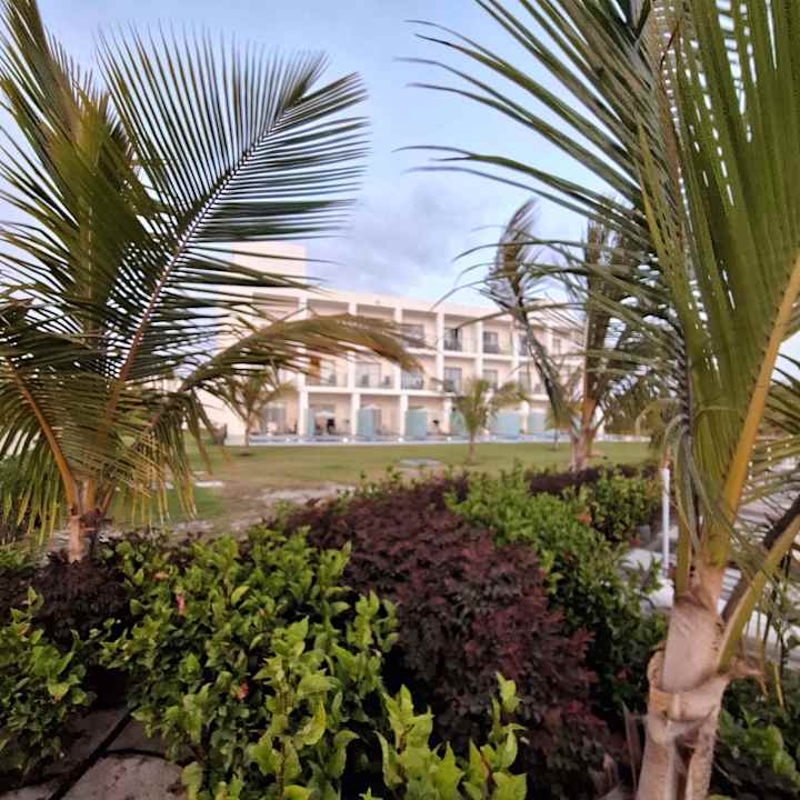 Gartenanlage Hotel Riu Palace Santa Maria