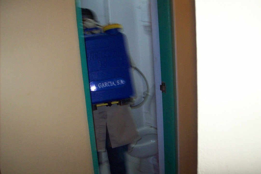 Kammerjäger bei der Arbeit whala!boca chica