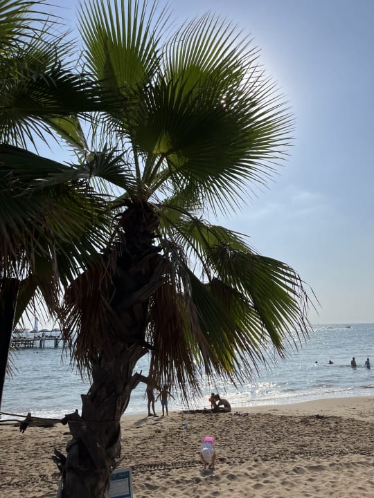 Strand ROBINSON PAMFILYA