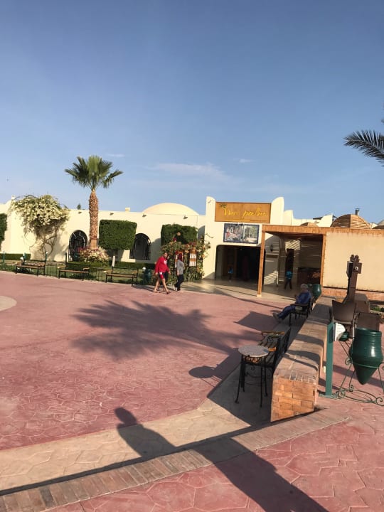 Weg zum Speisesaal (Palm) Desert Rose