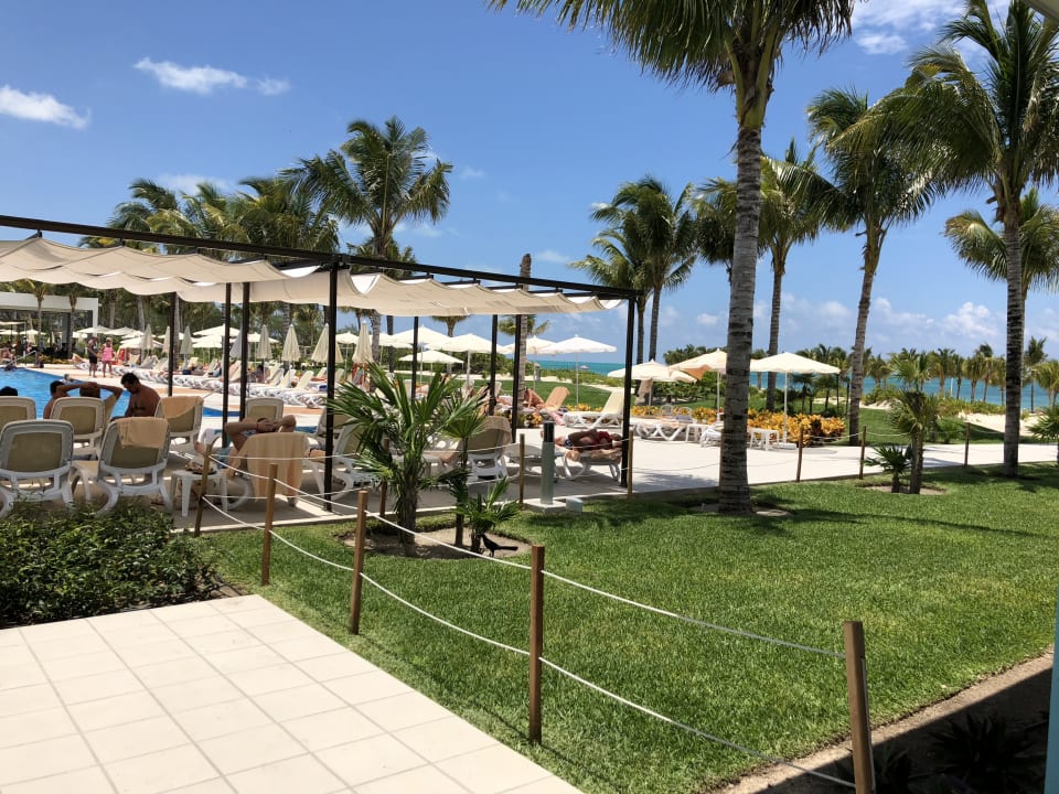 Gartenanlage Hotel Riu Dunamar