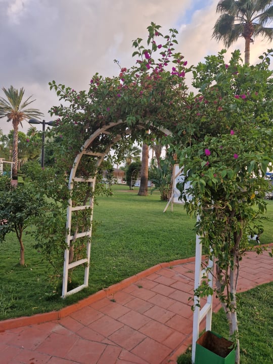 Gartenanlage Seher Kumköy Star Resort & Spa