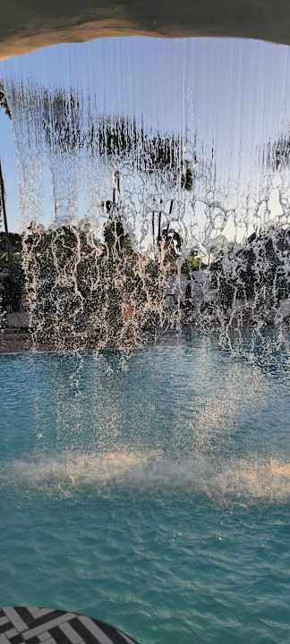 Pool Dreams Jardín Tropical