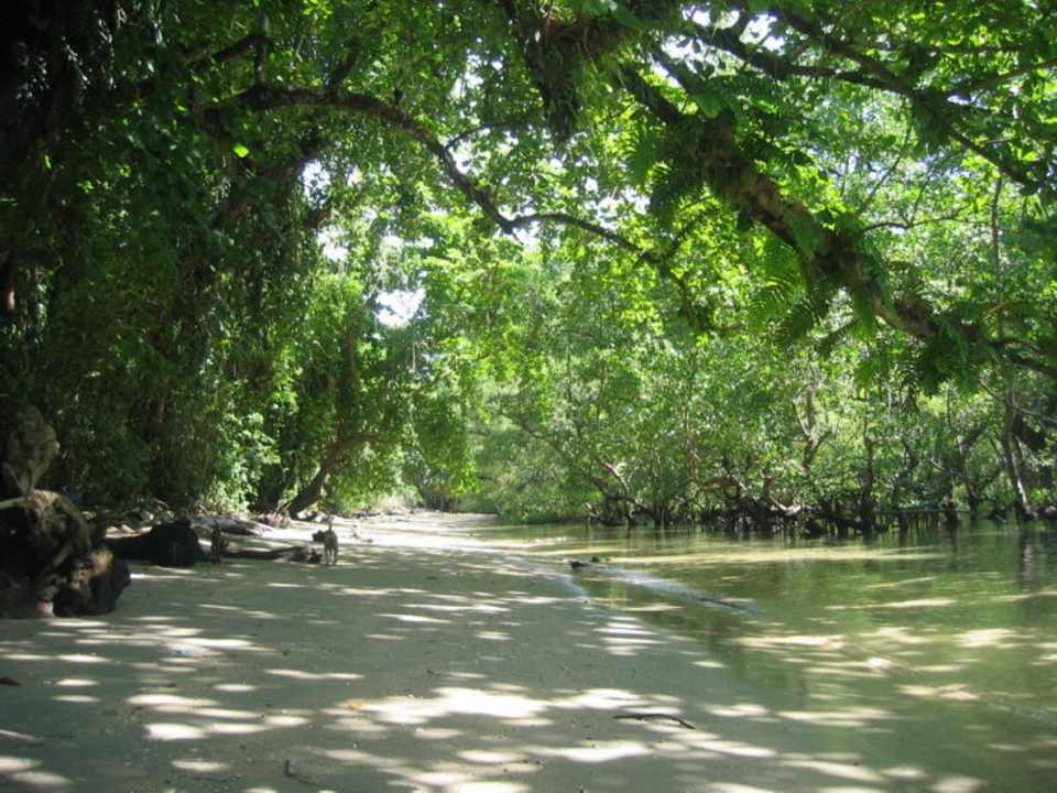 SeaGarden Beach Hotel Bunaken SeaGarden Resort
