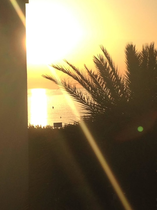 Der Tag beginnt... Zafiro Bahia