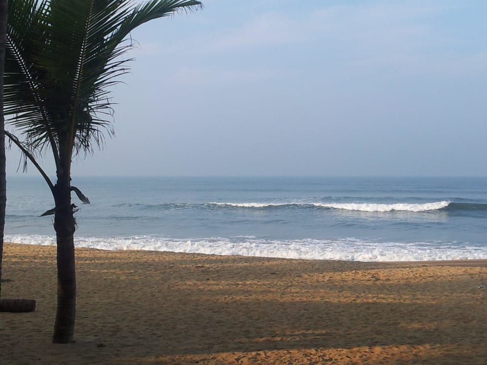 Genug Platz für lange Spaziergänge Mermaid Hotel & Club
