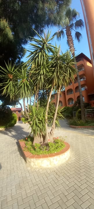 Außenansicht Club Turtas Beach Hotel