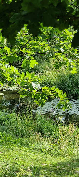 Gartenanlage Pałac i Folwark Galiny