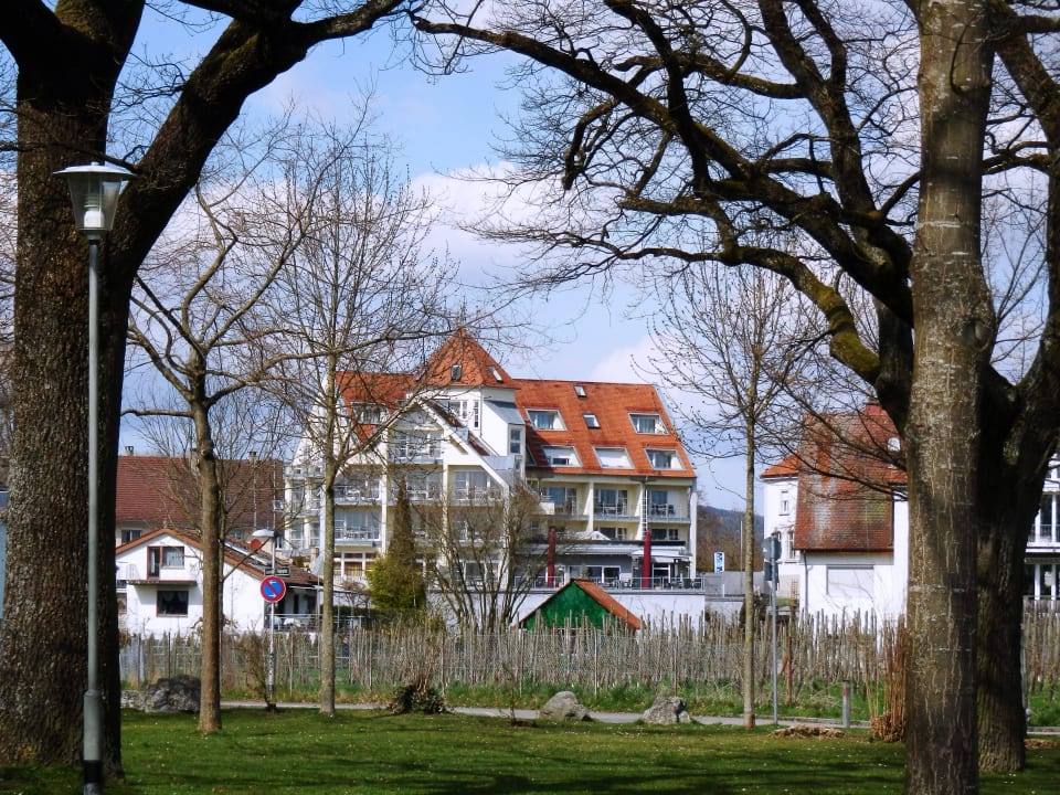 Blick vom See aufs Hotel Hotel Traube am See