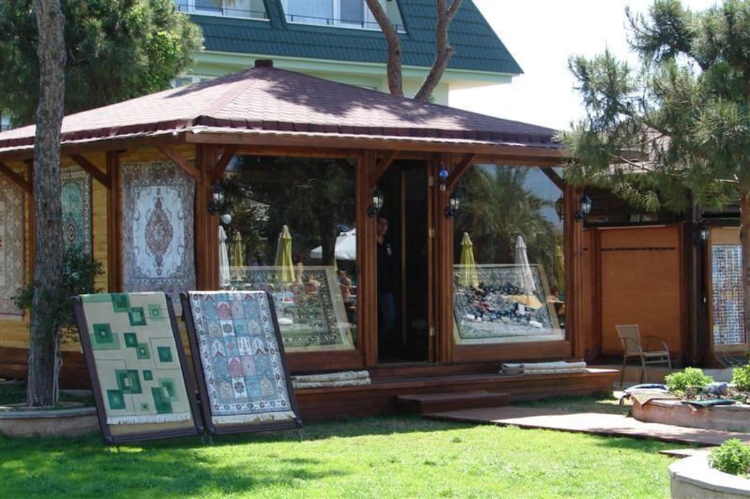 Teppiche Papillon Ayscha