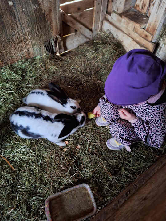 Sonstiges Bussjägerhof