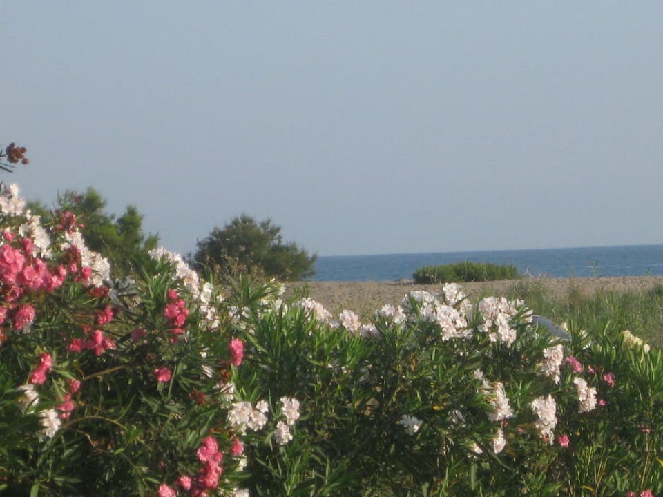 Vue mer Calimera Serra Palace