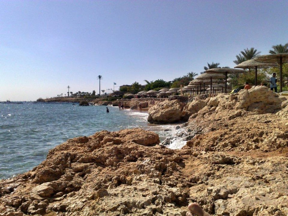 Strandbereich Pickalbatros Royal Grand Resort - Sharm El Sheikh