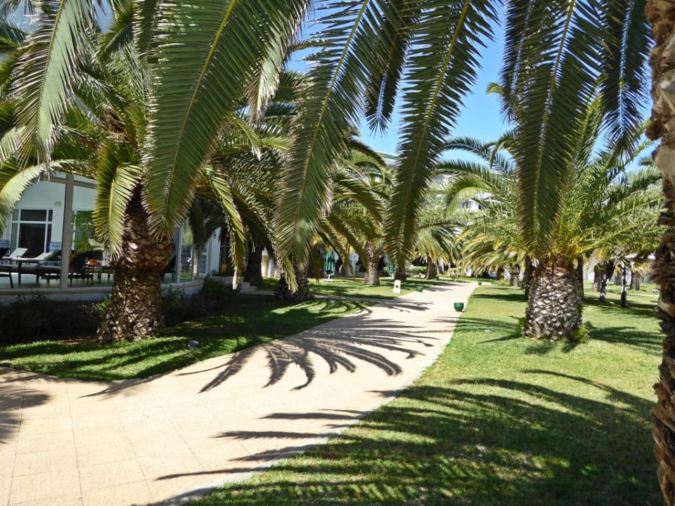 Vom Hallenbad aus gesehen. Oceana Hotel & Spa