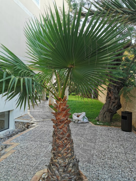 Gartenanlage R2 Lago Playa Park