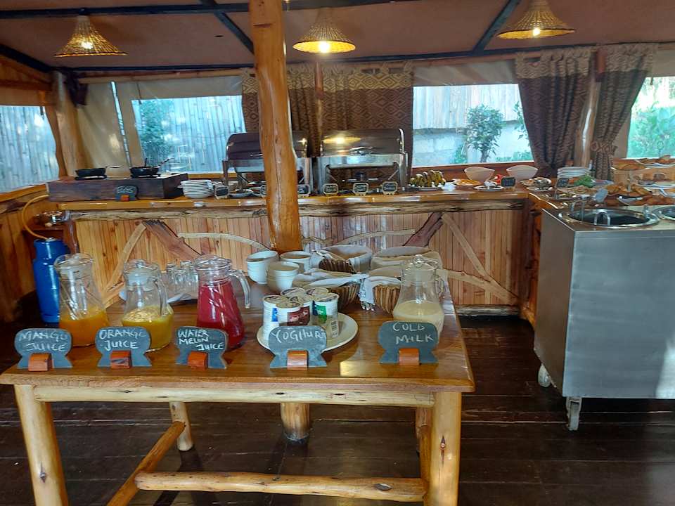 Gastro Rhino Watch Lodge