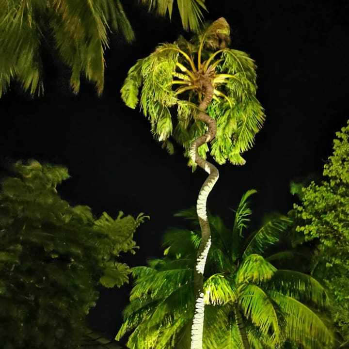 Gartenanlage Veligandu Maldives Resort Island