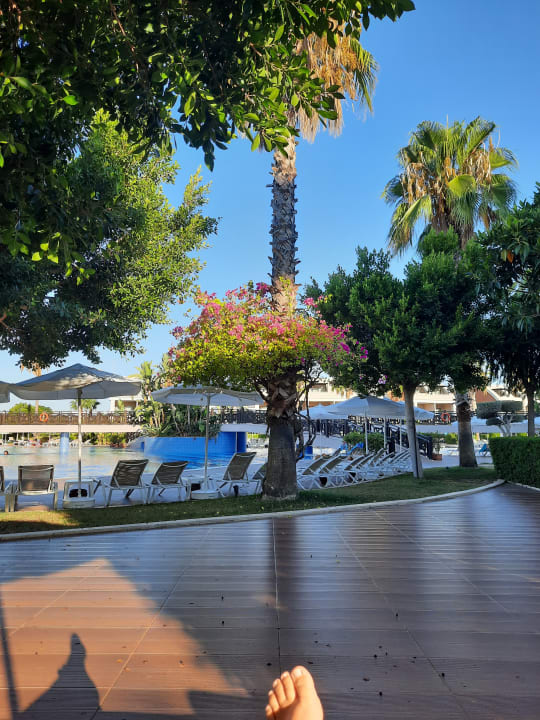 Pool TUI MAGIC LIFE Jacaranda