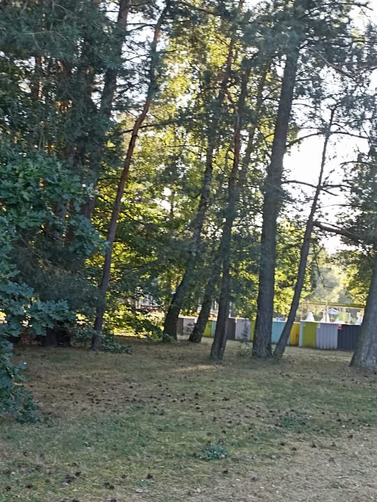 Gartenanlage AHORN Seehotel Templin