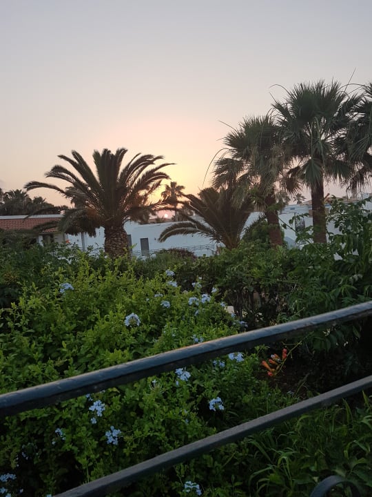 Außenansicht Creta Maris Resort