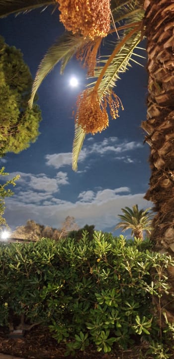 Ausblick Apollonia Beach Resort & Spa