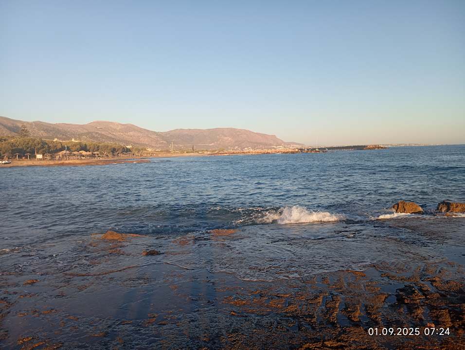 Strand allsun Hotel Carolina Mare