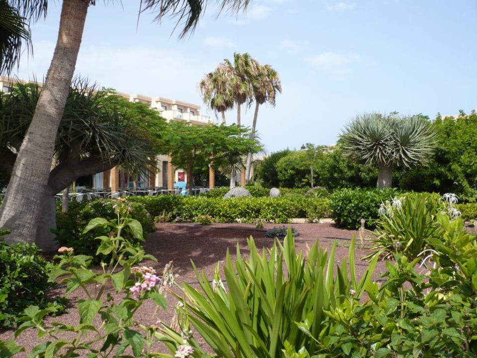 Gartenbereich SBH Hotel Taro Beach